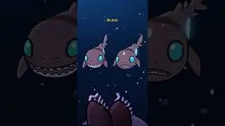 Velvet Belly Lanternshark 👾🦈 