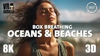 VR Relax (short) - Box Breathing Exercise (4-4-6-2) Beaches, Cliffs & Ocean - 8K 3D 360 VR