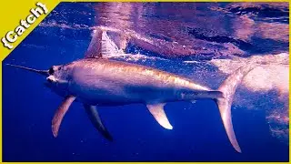 Hand Crank Swordfish and Monster Mahi {Catch} Best Fishing Day in Many Years