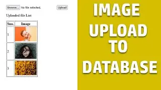 Image upload to database using php mysql | upload image to server