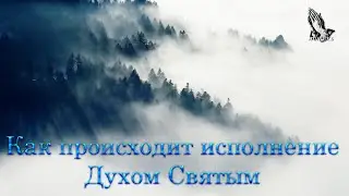 Как происходит исполнение Духом Святым Антонюк Н.С.