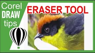 Using the eraser tool in CorelDraw