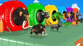 Choose Right Tire With Rhino mammoth Elephant Dinosaur Lion Gorilla Buffalo  Wild animals Game