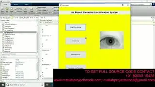 Iris based biometric identification system