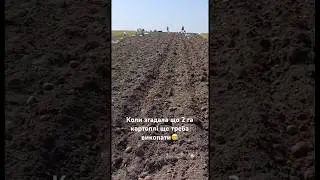 Коли згадала що 2 га картоплі ще треба викопати😅 #приколи #пранк #memes #село