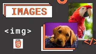 [HTML-Tutorial-13] img Element | Images | Width & Height Attributes in img as per new HTML standards