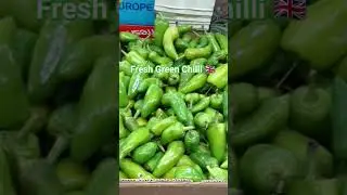 Fresh Green Chilli | #shorts #chilli #trending #greenchilli #fresh #spicy