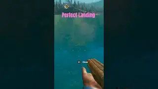 perfect landing