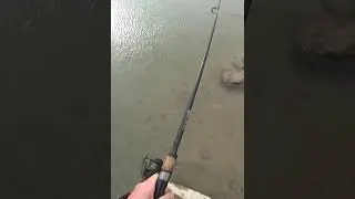 СУДАКИ НА КАЖДОМ ЗАБРОСЕ!