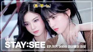 나의 쟈근 [STAY:SEE] EP.저기 여봐라 미녀들의 미모