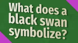 What does a black swan symbolize?