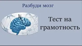 Русский язык. Тест на грамотность. Разбуди мозг! Видеоурок