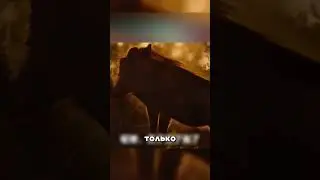 Кабан отомстил пантере 😱🐆