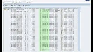 SAP Clone Finder