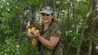 Собираем грибы, богатый урожай... Mushrooms, a rich harvest ...