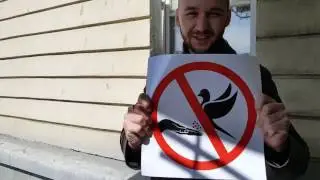 Музей истории Екатеринбурга ищет человека, который будет распугивать голубей