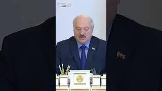 Работает, находит новые возможности! Как Лукашенко охарактеризовал ситуацию в экономике Беларуси