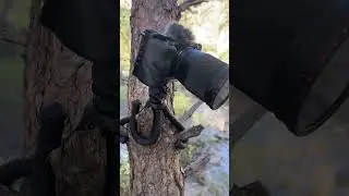 Штатив который можно зацепить на любое дерево.  #штатив #съемки #видео
