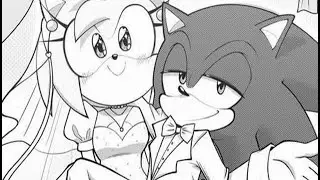 Romance? (Sonamy Comic Dub)