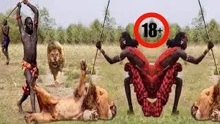 مدهش قبائل الماساي تتحدى الأسود