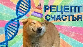 Как стать счастливым? Научный рецепт счастья, суть счастья