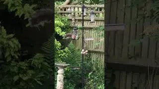 Oooo me Nuts! 🫣