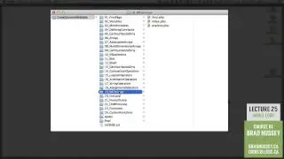 WHILE Loop