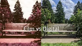 Lomochrome Purple vs Pixel 3XL | this FILM turns to GREEN to PURPLE