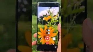 quality photos by gcam #gcam #shortvideo