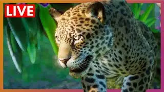 Don't Call It A Comeback | Planet Zoo LIVE