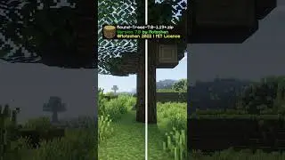 Minecraft Best Resource Pack in 3d Comparison 