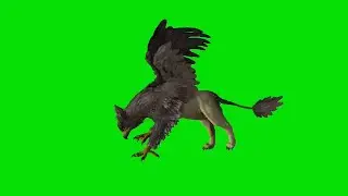 green background animal video!animal green screen background video!green screen no copyright cartoon