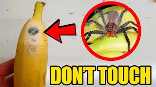 If You See This, DO NOT TOUCH IT