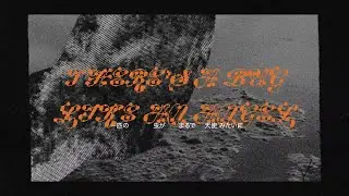 Mitski - Bug Like an Angel (歌詞和訳リリックビデオ)