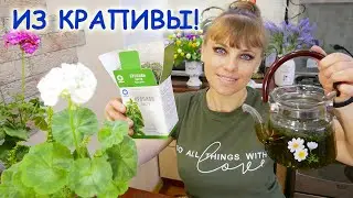 Самое лучшее Удобрение из Крапивы для Комнатных Растений