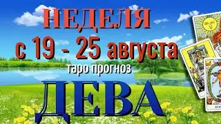 ДЕВА 🌷🌷🌷 НЕДЕЛЯ с 19 - 25 АВГУСТА 2024 года Таро Прогноз ГОРОСКОП Angel Tarot