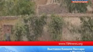Выставка Камиля Писсаро в Мадриде
