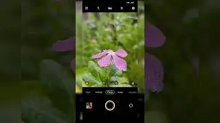 Mobile photography 📷 Vivo V25 pro Camera Photoshoot #shorts #viral #short #youtubeshorts #youtube 😍😍