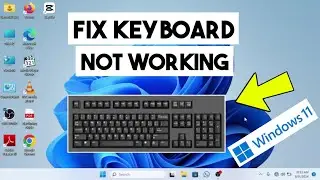 Keyboard Not Working Windows 11 | How to Fix Keyboard Keys Not Working Windows 11