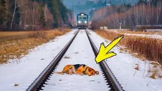 The driver noticed something on the rails. When he realizes what it is, he calls the police!