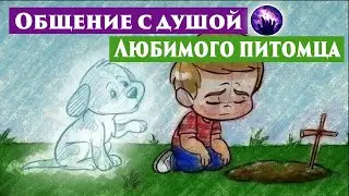 Общение с душой питомца. Потеря любимого питомца. Регрессивный гипноз. Ченнелинг 2022. Гипноз.