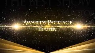 After Effects Project Files -  Awards Show Package _  VideoHive