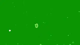 Green Screen Film Damage Effect | Old Film Effect | Old Film Effect Green Screen Footage