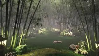 Bamboo Forest | 4K Animation | D5 Render