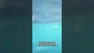 Garbage Island Twice The Size of Texas