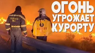 Три масштабных пожара тушат на морском побережье в Хорватии