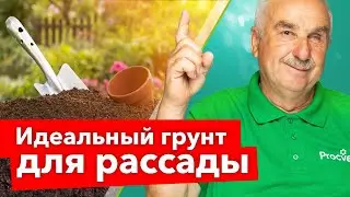 ДОБАВЬТЕ ЭТО В ЗЕМЛЮ ДЛЯ РАССАДЫ, и она вырастет крепкой, толстенькой и не будет болеть