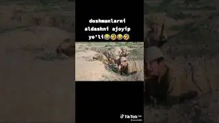 #прикол