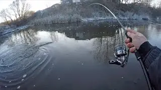 ЩУКА ЖИВЕТ в РЕЧКЕ-ВОНЮЧКЕ!!! РЫБАЛКА В ПОМОЙКЕ! ИТОГИ КОНКУРСА!!!