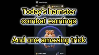 today 24 June hamster combat earnings